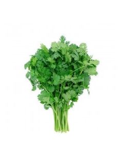 CILANTRO IMP vwt Approx. 0.1 Kg tray
