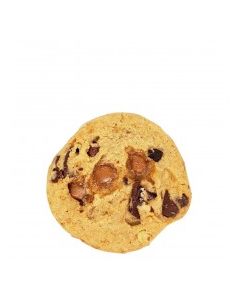 COOKIE CARAMEL CHOCOLATE PECAN 1.5oz