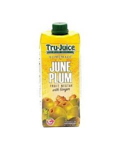 TRU-JUICE JUNE PLUM GINGER 500ml