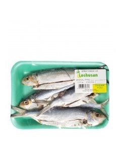SPRAT FRESH vwt Approx. 0.5 Kg tray
