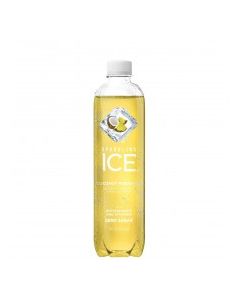 SPARKLING ICE COCONUT PINE 17oz