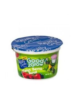TIRG YOGURT MELON BERRY BURST 110g