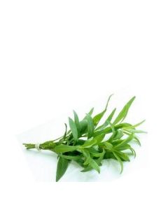 D&D TARRAGON 30g