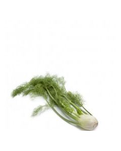 D&D FENNEL 35g
