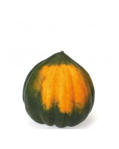 SQUASH ACORN IMP vwt Approx. 0.5 Kg each
