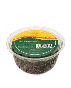 HALIFAX MICRO GREENS HALIFAX MIX 12oz