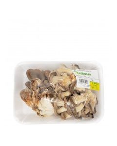 MUSHROOMS OYSTER vwt Approx. 0.2 Kg tray
