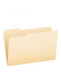 AMPO MANILA FILE FOLDER LETTER SIZE 1ct