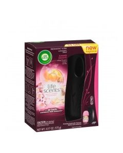 AIR WICK AUTO SUMMER DELITE KIT 1ct