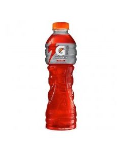 GATORADE TQ FRUIT PUNCH 600ml