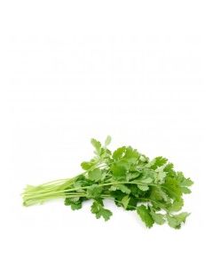 CILANTRO LOCAL pk
