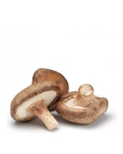 MUSHROOMS SHITAKE vwt Approx. 0.1 Kg tray
