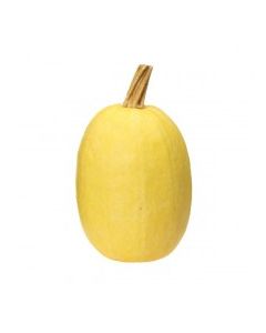 SQUASH SPAGHETTI IMP vwt Approx. 1.2 Kg each
