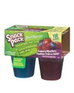 SNACK PACK GEL R/BERRY MIX BERRY 10.48oz