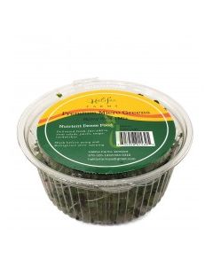 HALIFAX MICRO GREENS SPICY SALAD 12oz
