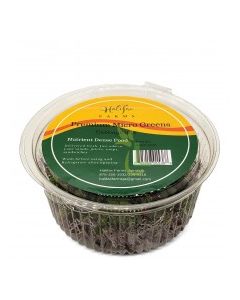 HALIFAX MICRO GREENS CABBAGE MIX 12oz