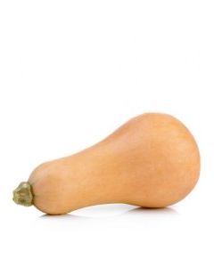 SQUASH BUTTERNUT IMP vwt Approx. 1.7 Kg each
