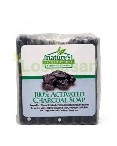 NATURES HID SECRET SOAP CHARCOAL 1ct