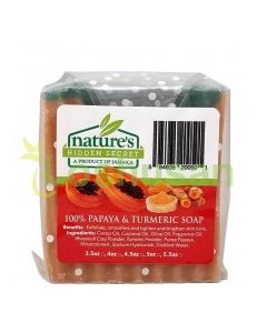NATURES HID SECRET SOAP PAPAYA TURM 1ct