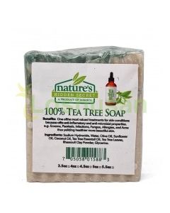 NATURES HID SECRET SOAP TEA TREE 1ct
