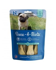 N-BONE SML DENTAL BONES MINT 10pk 230g