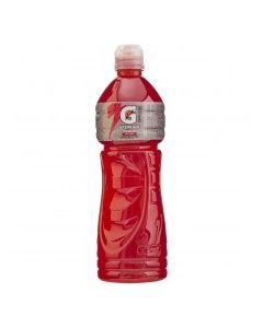 GATORADE FRUIT PUNCH 1L