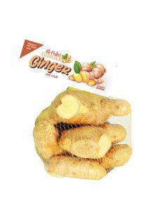 THE PERFECT GINGER 1pk