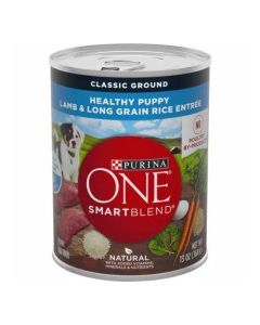 PURINA ONE LAMB & LONG GRAIN RICE 13oz