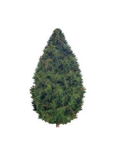 CHRISTMAS TREE 6ft
