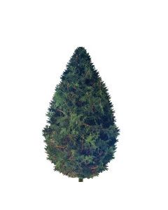 CHRISTMAS TREE 5ft