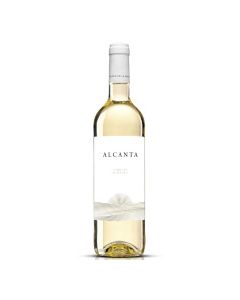 ALCANTA VERDEJO MACABEO 750ml