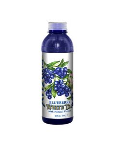 ARIZONA BLUEBERRY WHITE TEA 20oz