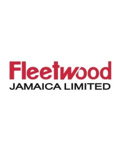 FLEETWOOD DUSTPAN WITH BROOM COMB 1ct