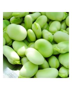 BEANS BROAD (LIMA) BULK vwt Approx. 0.2 Kg bag
