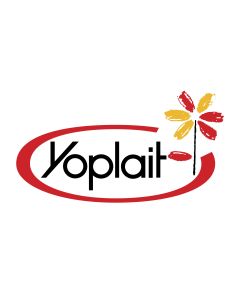 YOPLAIT PROTEIN MIXED BERRY 5.6oz