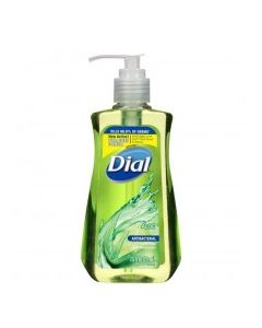 DIAL HAND SOAP GOLD 11oz