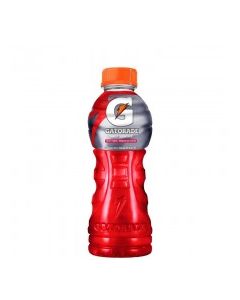 GATORADE FRUIT PUNCH 350ml