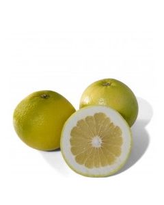 GRAPEFRUIT WHITE BAG 6ct