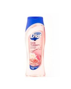 DIAL BODY WASH HIMALAYAN SALT 16oz