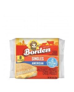 BORDEN AMERICAN SLICES 6oz