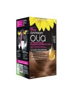 GARNIER GOLDEN BROWN #6.3