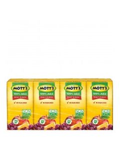 MOTTS MINI FRUIT PUNCH 4x4.23oz